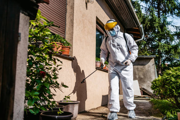 Best Pest Removal Services  in Lindenwold, NJ