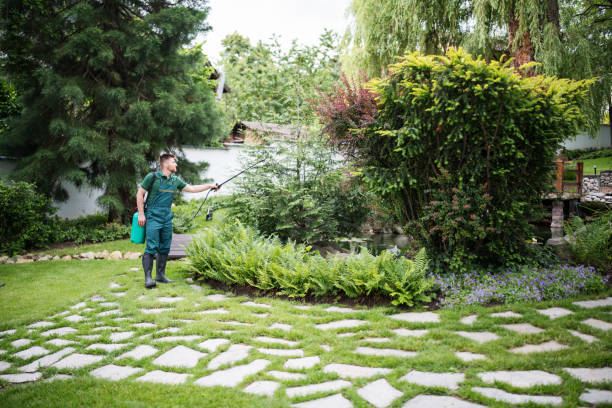 Best Pest Inspection Near Me  in Lindenwold, NJ