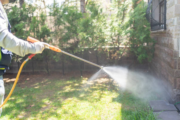 Best Insect Control  in Lindenwold, NJ