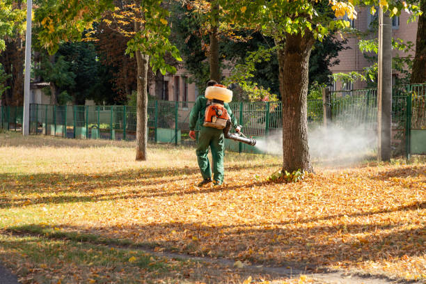 Best Termite Control Services  in Lindenwold, NJ