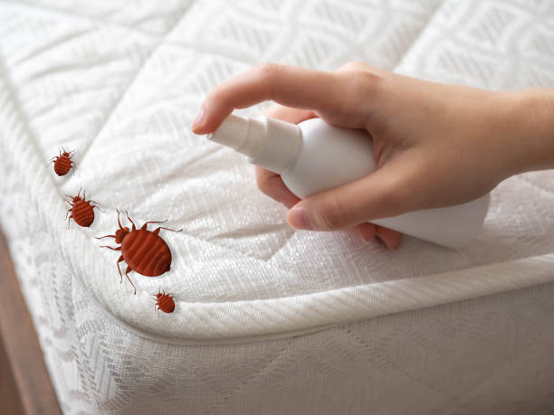 Best Residential Pest Control  in Lindenwold, NJ